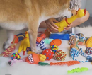 Kit 10 Brinquedos Mordedor Cachorro Filhote Anti Estress Pet Ranger os dentes Limpeza da boca