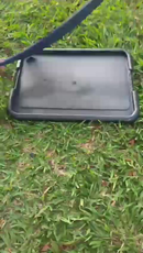 Kit Sanitário Canino Pet + Educador Pet Xixi Sim Pode Xixi Não Pode Tapete Higiênico para Cães