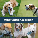 Kit 10 Brinquedos Mordedor Cachorro Filhote Anti Estress Pet Ranger os dentes Limpeza da boca