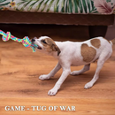 Kit 10 Brinquedos Mordedor Cachorro Filhote Anti Estress Pet Ranger os dentes Limpeza da boca