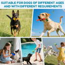 Kit 10 Brinquedos Mordedor Cachorro Filhote Anti Estress Pet Ranger os dentes Limpeza da boca