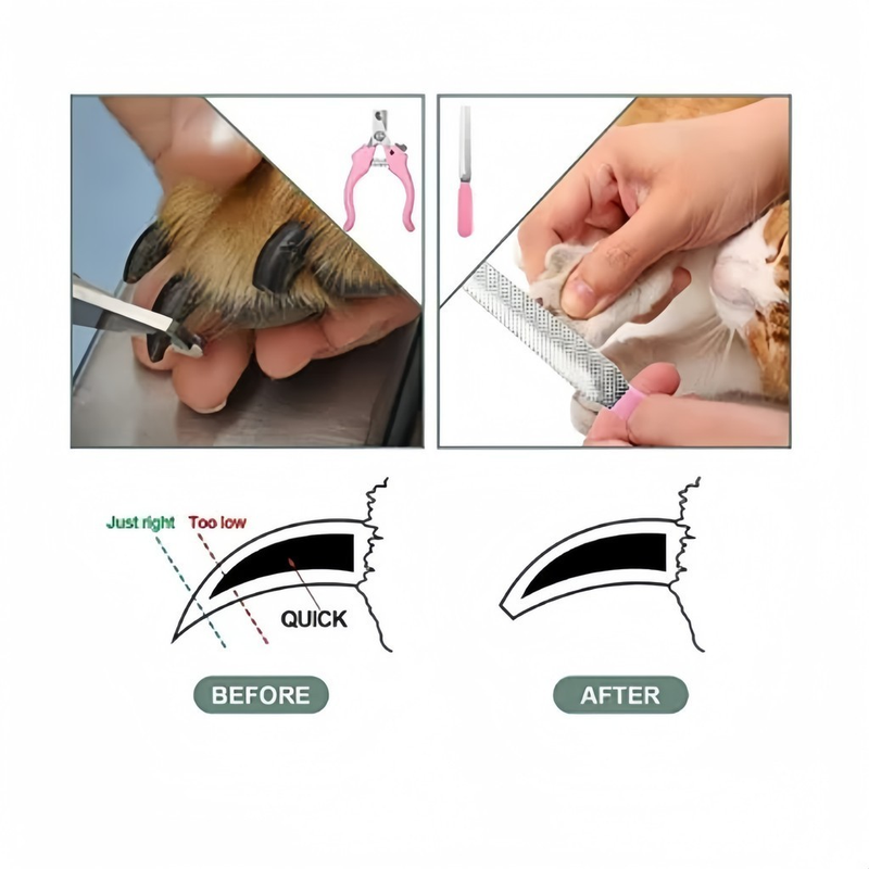 Kit Máquina de Tosar Profissional 11 Peças – Tosador para Cachorros e Gatos, Corte de Pelos Pet