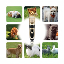 Kit Máquina de Tosar Profissional 11 Peças – Tosador para Cachorros e Gatos, Corte de Pelos Pet